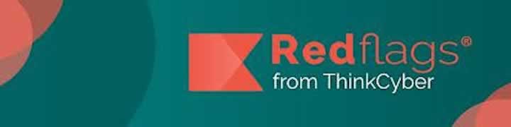Red Flags / ThinkCyber